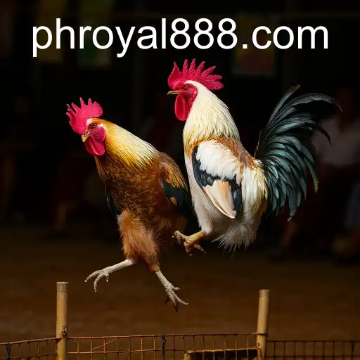 The Rise of Online Sabong: Exploring the Phenomenon of ROYAL888